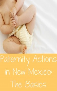 Paternity Actions in New Mexico: The Basics